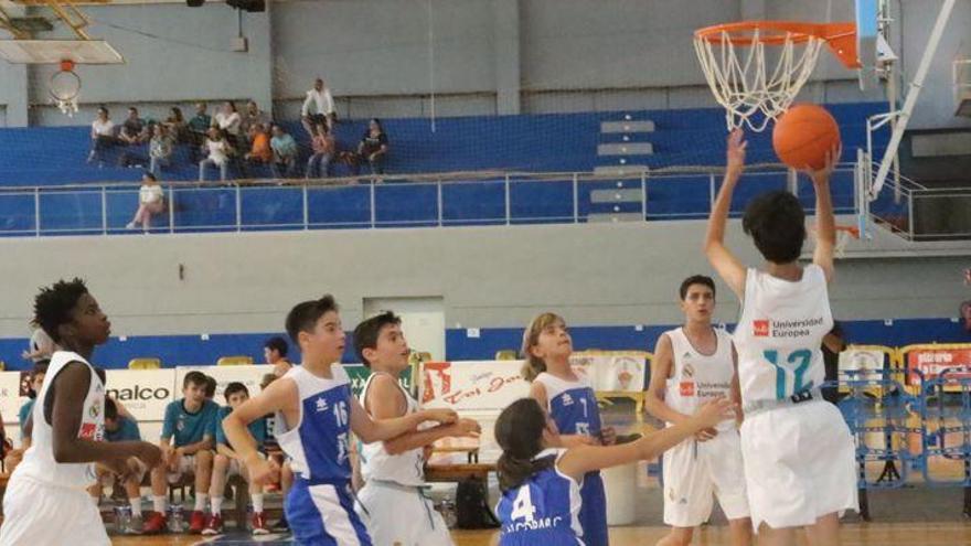 Incendiario tuit del Madrid de baloncesto tras un partido contra L’Alcora en alevines