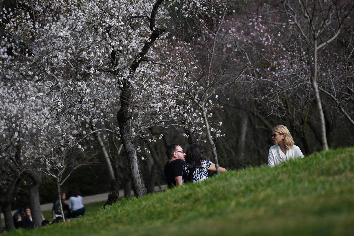 Árboles almendros en flor en el parque la Quinta de los Molinos, a 18 de febrero de 2023, en Madrid (España).