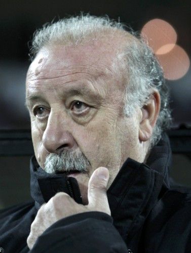 Vicente Del Bosque