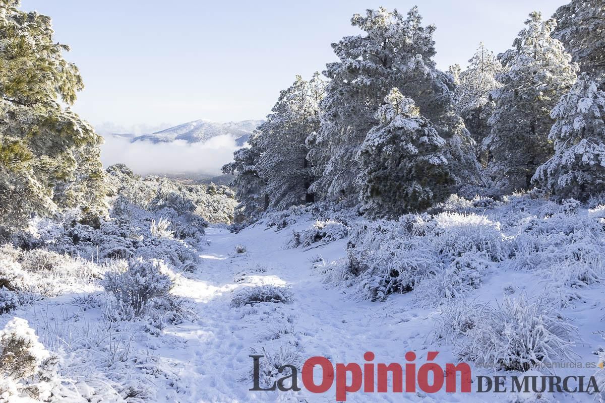Descubre dónde queda acumulación de nieve en la Región de Murcia