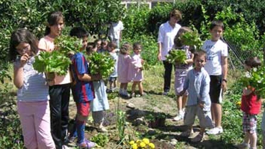 Alumnos madrileños conviven con estudiantes de El Torno en unas jornadas sobre agricultura ecológica