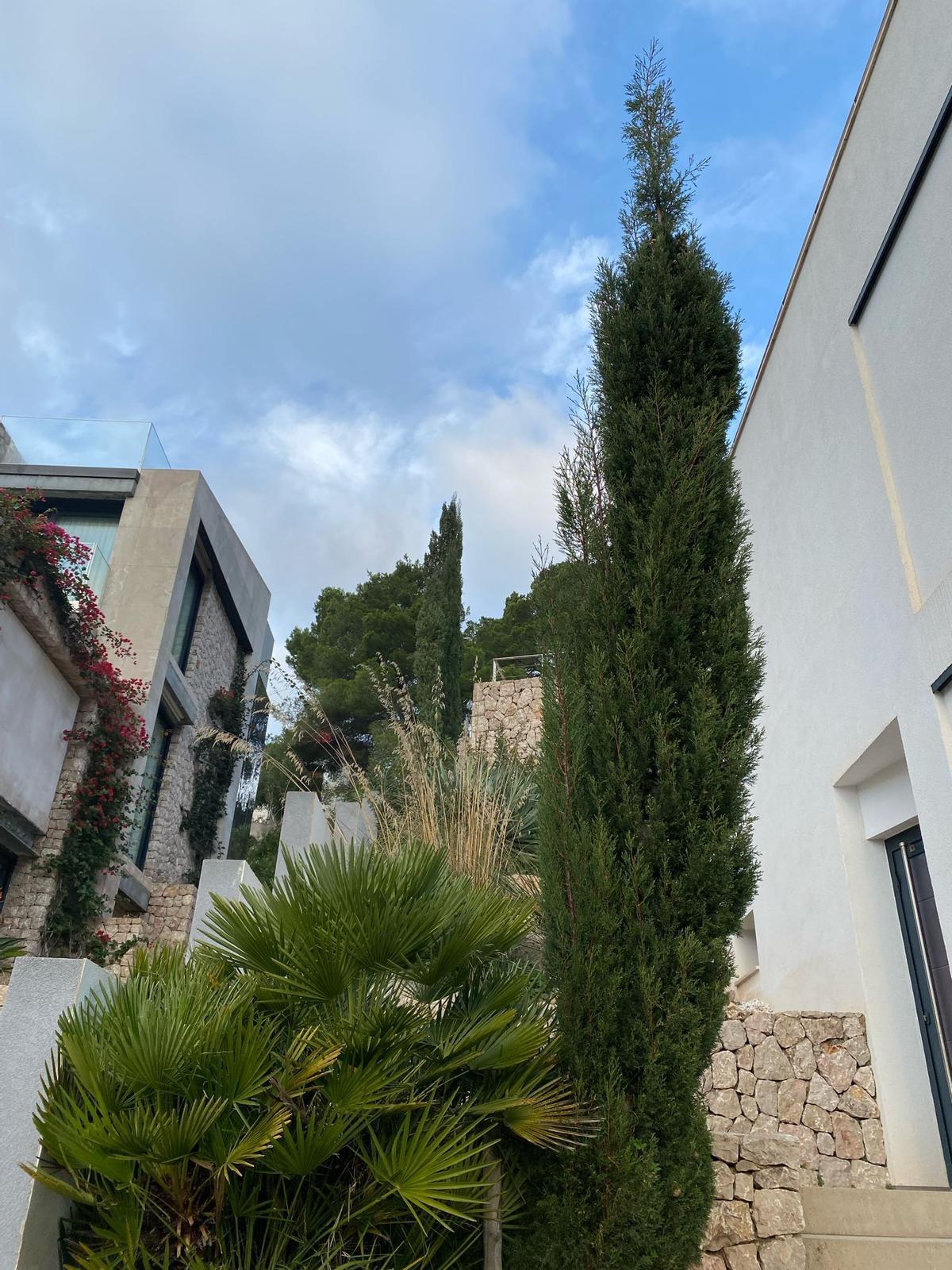 Zwischen beiden Häusern ist nur wenige Meter Abstand.