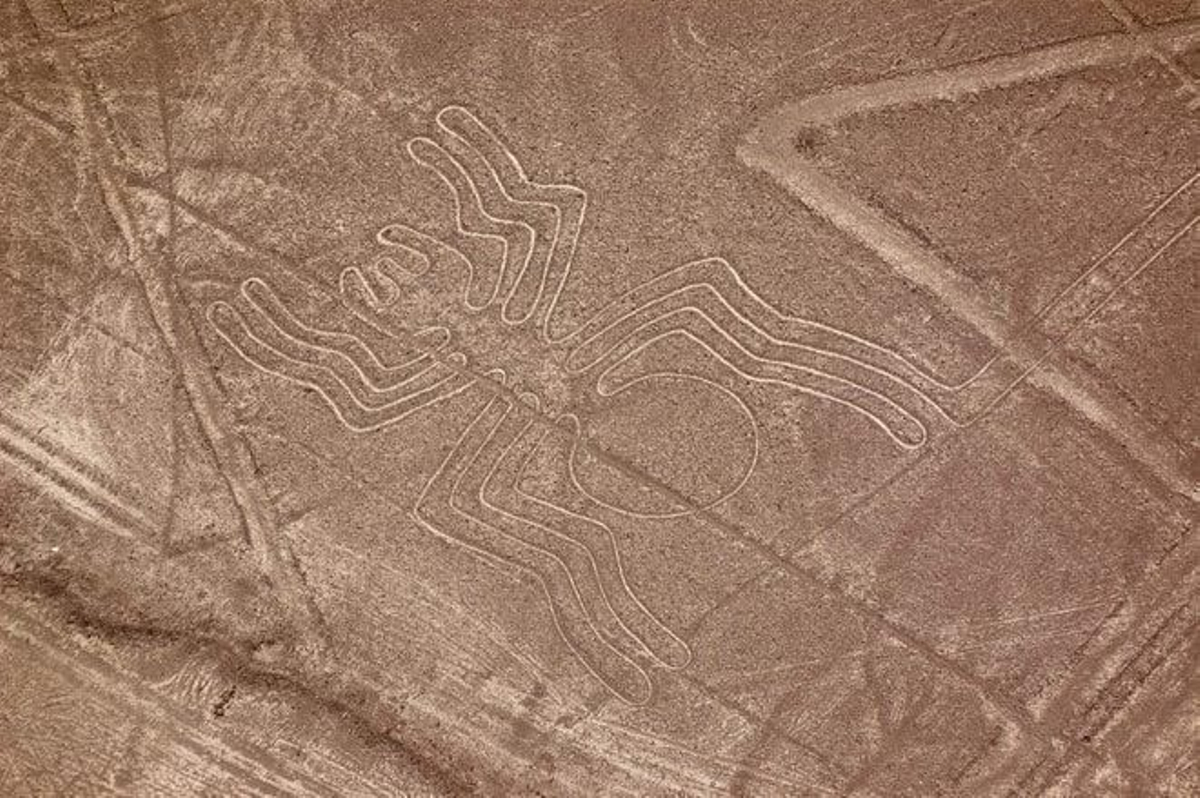 líneas de Nazca
