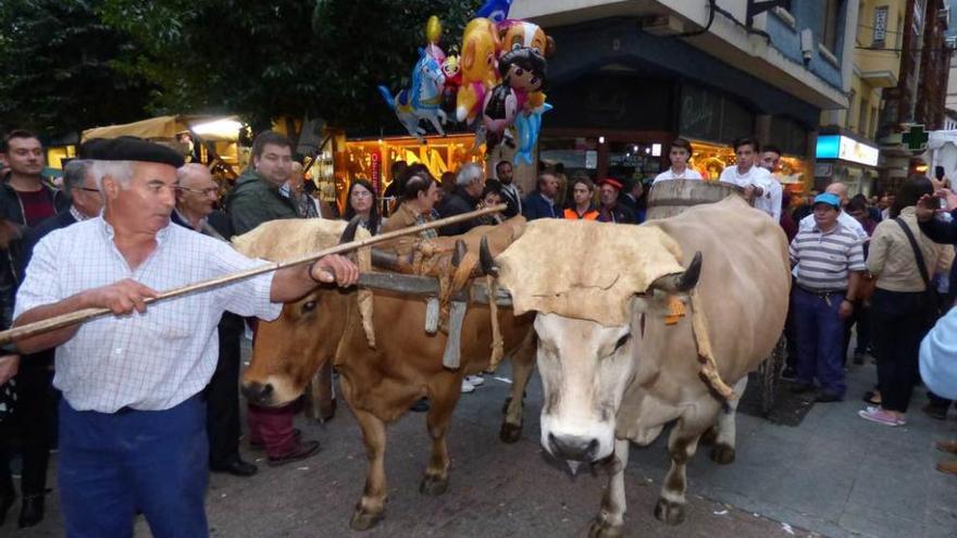 Desfile del carro cargado de uvas y tirado por vacas por el centro de la villa canguesa.