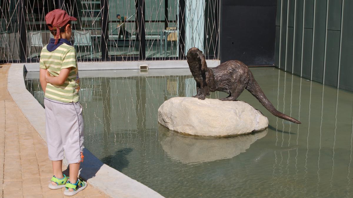 Un niño observa la nutria de metal de la Casa del Parque de Sanabria