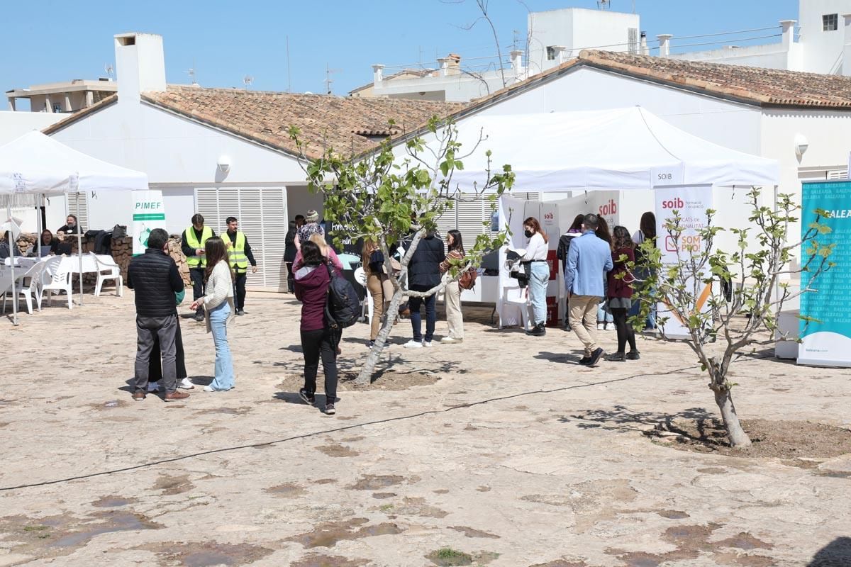 I Feria de empleo de Formentera