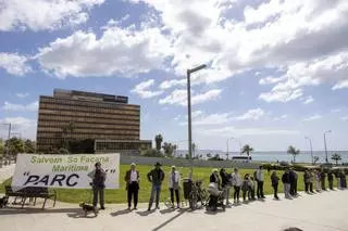 Convocan una performance para exigir un gran parque en la fachada marítima de Palma