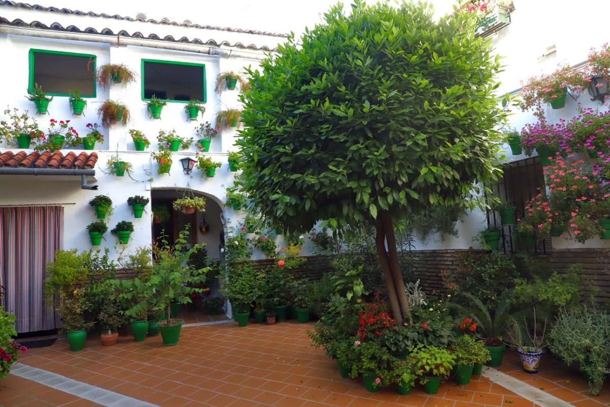 Los patios de Córdoba: las mejores fotos en San Agustín