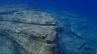 La desertización también se abre camino bajo el mar