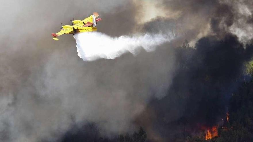 Un hidroavión descarga agua sobre las llamas, ayer en Abrantes.