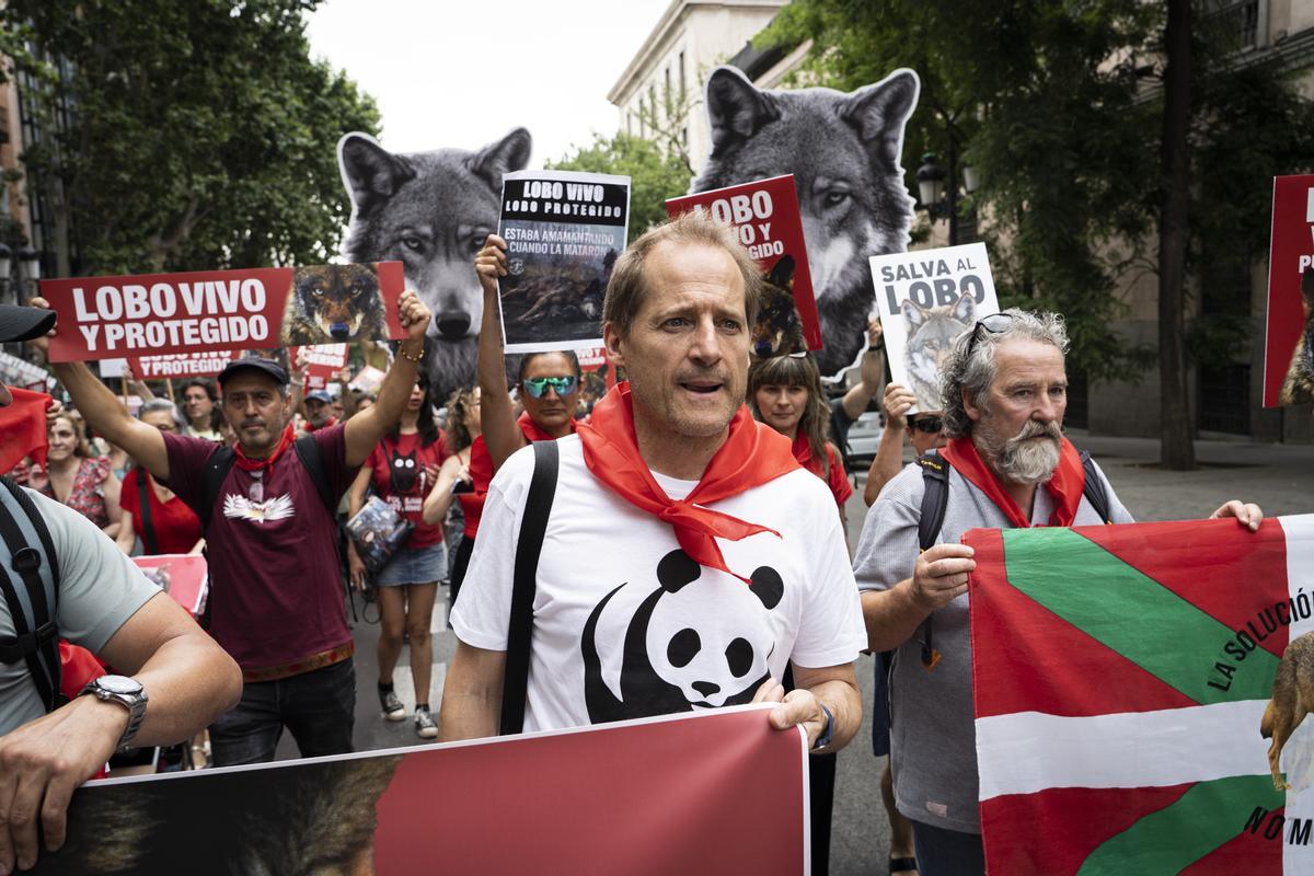 Manifestaciónen favor del lobo,este mes, en Madrid. lobo madrid.