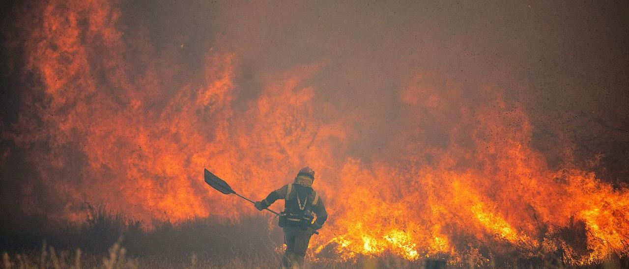 Un bombero forestal lucha contra un incendio el pasado mes de junio en Zamora. | Emilio FrailE