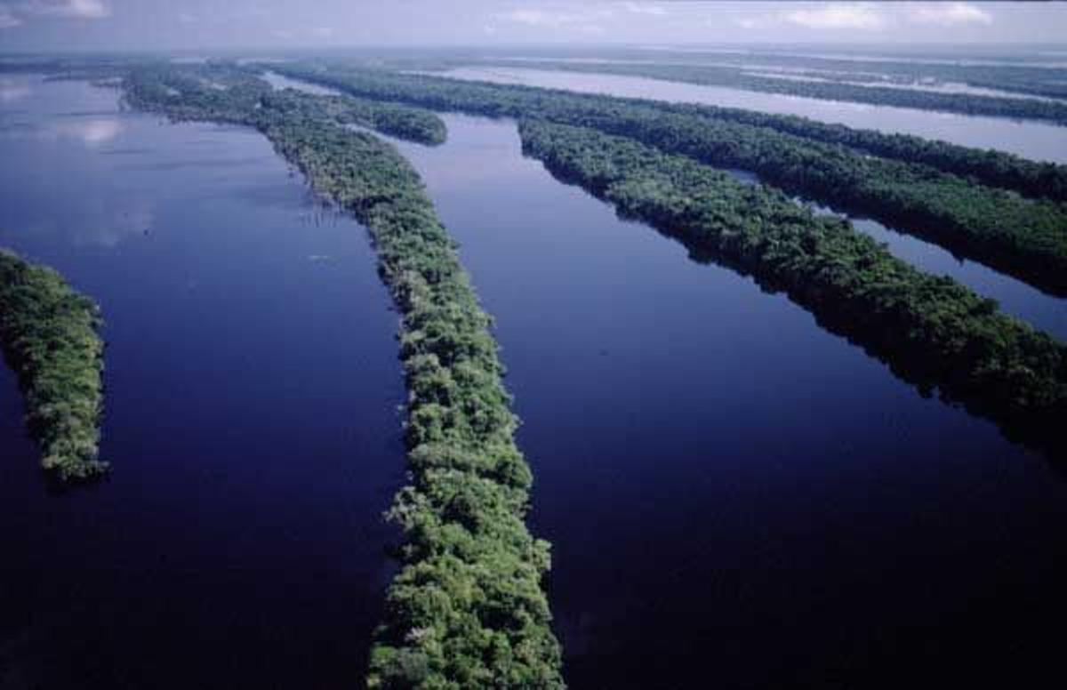 Las islas del archipiélago Anavilhanas transcurren como serpientes por el Río Negro.