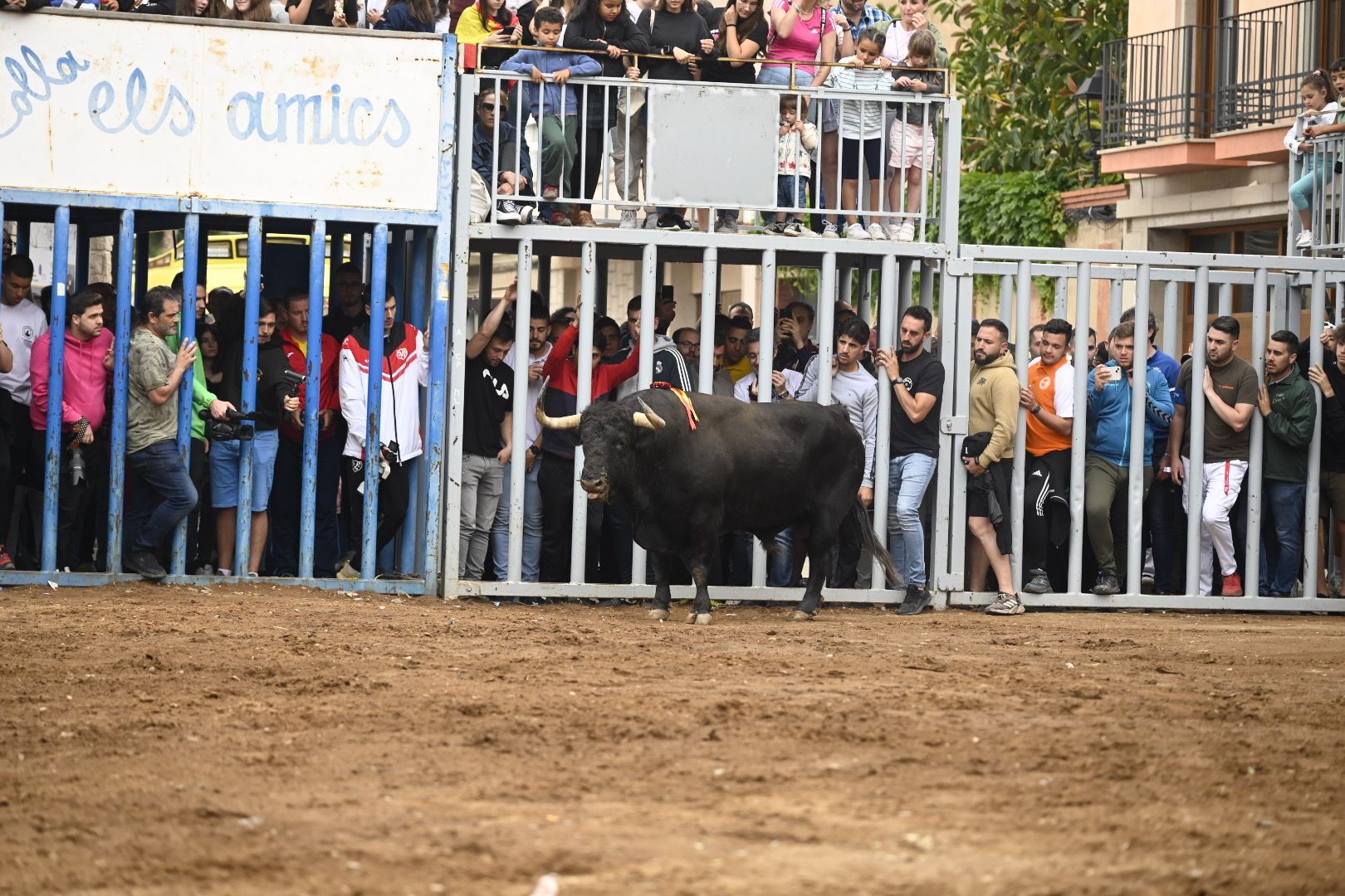 Galería | Las imágenes de la penúltima tarde de toros de las fiestas de Almassora