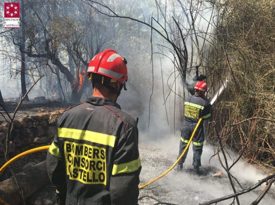 Incendio forestal en Artana