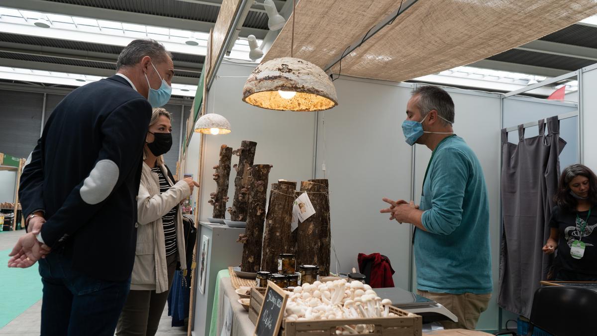 Feria Ecocultura de Zamora.