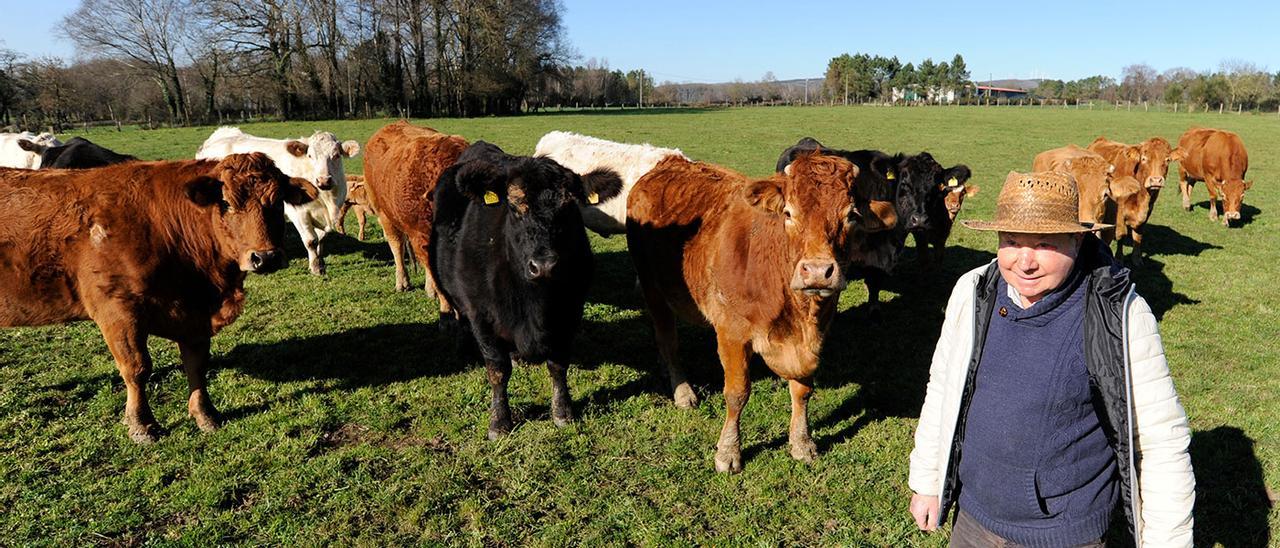 El ganadero Emerio Souto  cría unas cincuenta vacas en 60 hectáreas de Filgueira, en Lalín.