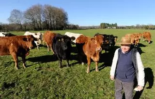 Galicia apuesta por los macropastos