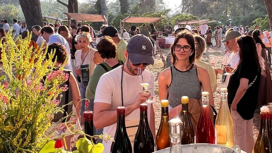 Arrels de Vi a Sant Martí d'Empúries: 34 cellers, 150 referències de vins de gamma alta