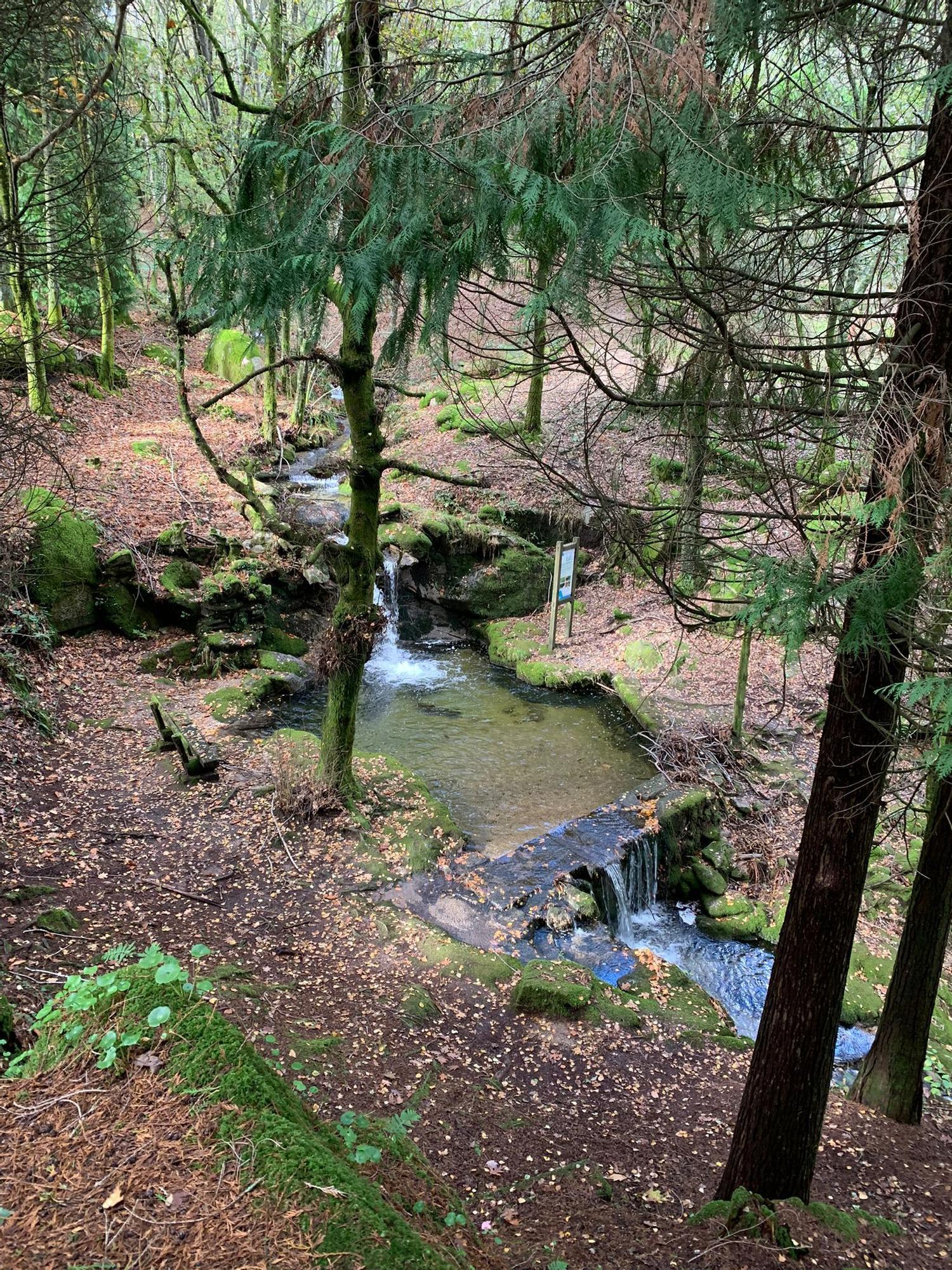 Vista del Parque Natural del Monte Aloia en otoño de 2022.