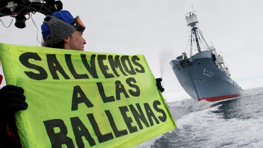 Activistas del grupo Greenpeace protestan frente al barco Yushin Maru que realiza una matanza de ballenas en el Océano del Sur como parte de la de caza de ballenas japonesa y de la transferencia de las ballenas al barco fábrica Nisshin Maru el pasado 11 de enero del 2006. EFE/Jeremy Sutton-Hibbert