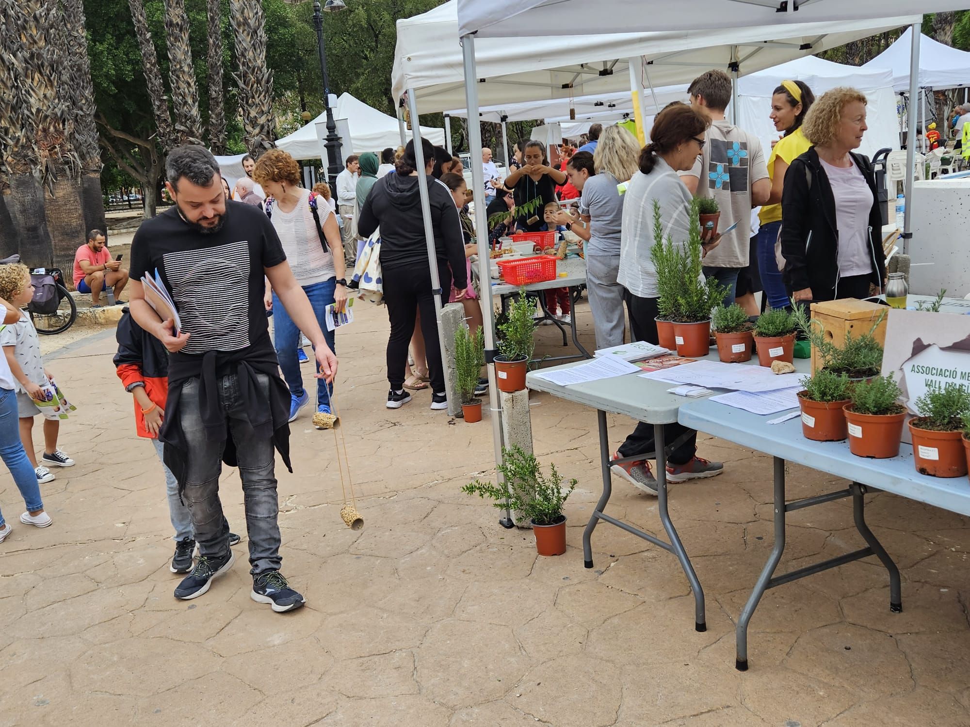 Las mejores imágenes de la Biosfira 2.0 de Alzira