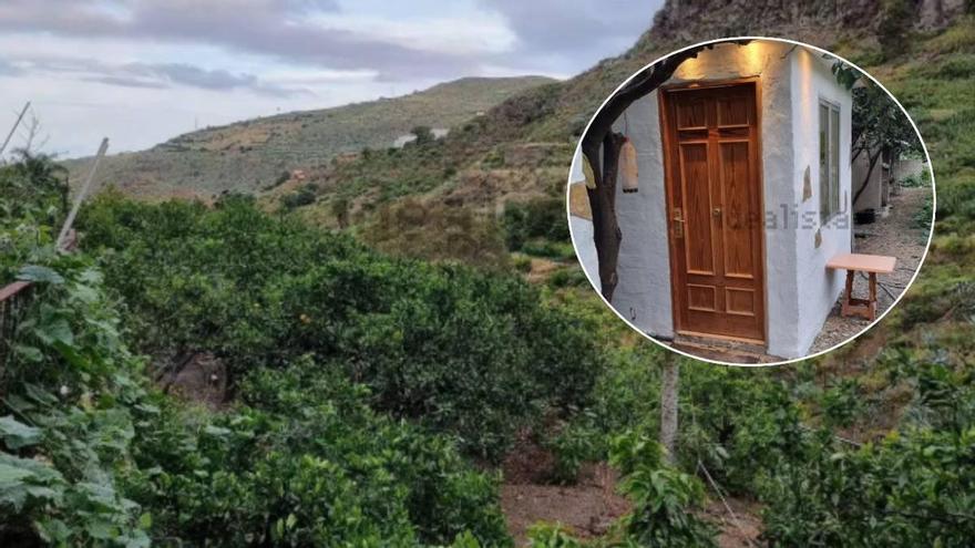 El alquiler más barato de Canarias está en Gran Canaria: una pequeña casa por 300 euros al mes en una finca de naranjos