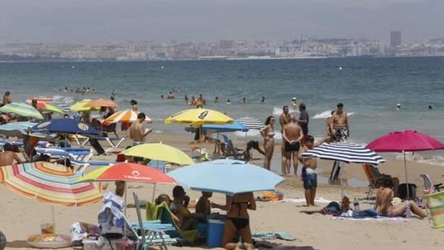 La playa de Arenales del Sol se llenó ayer de bañistas un día después de la mordedura.