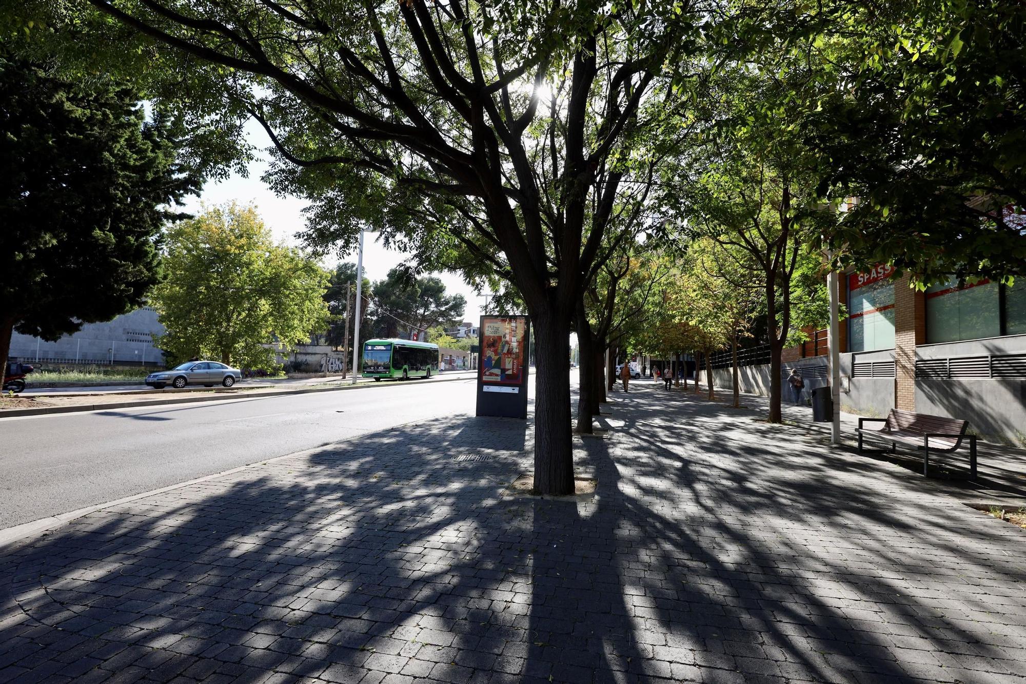 En imágenes | Recorrido por la avenida Manuel Rodríguez Ayuso de Zaragoza