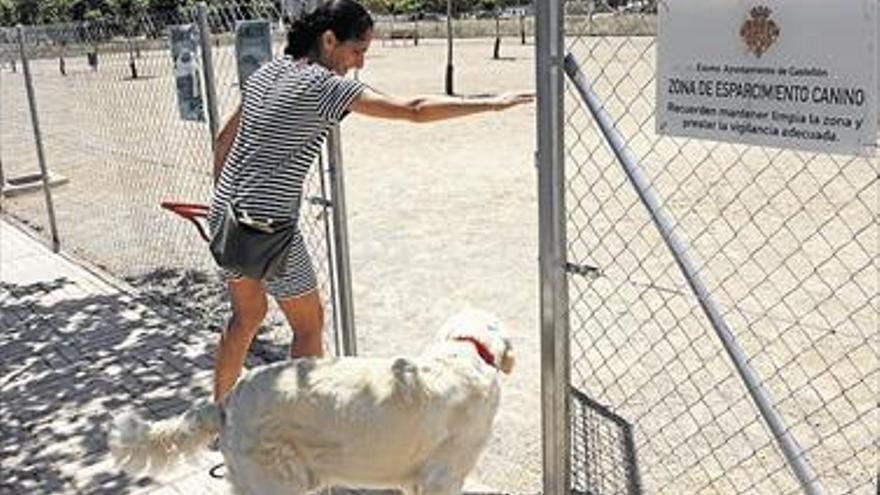 Las zonas de esparcimiento de perros de Castellón crean división entre los vecinos