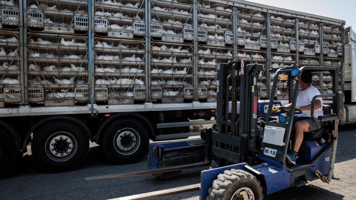 Sanidad confirma siete positivos más en la empresa de Rafelbunyol.