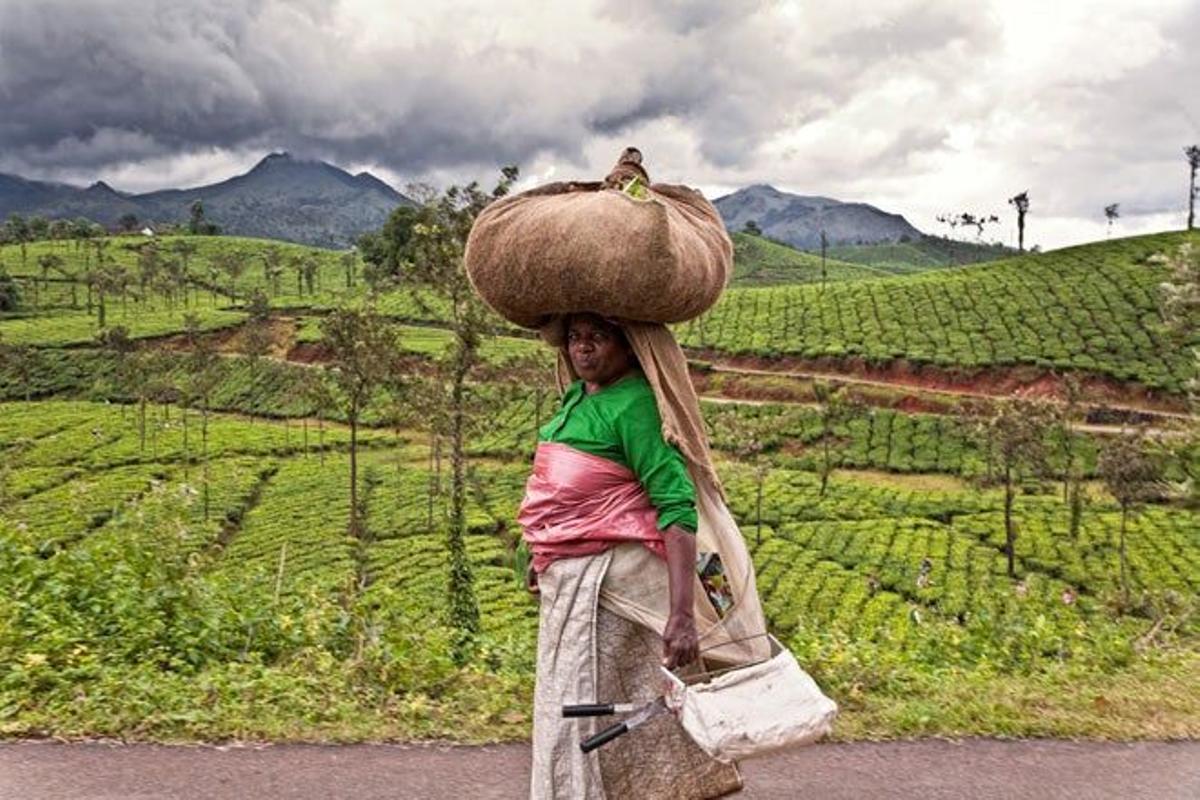 Mujer llevando un fardo en la cabeza en Kerala.