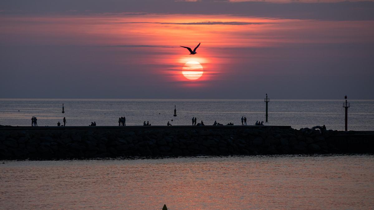 Limpieza de la playa de Barcelona tras la verbena de Sant Joan