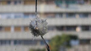 Cansament  i enuig a la Mina