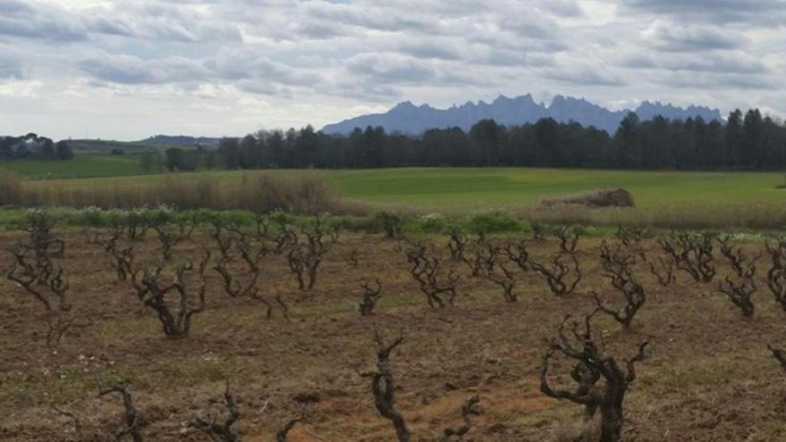 Neix l&#039;Enotren per promocionar vins i espais culturals de Manresa i comarca