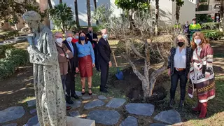 Málaga pone el colofón a los actos del milenario de Ibn Gabirol con la plantación de un granado