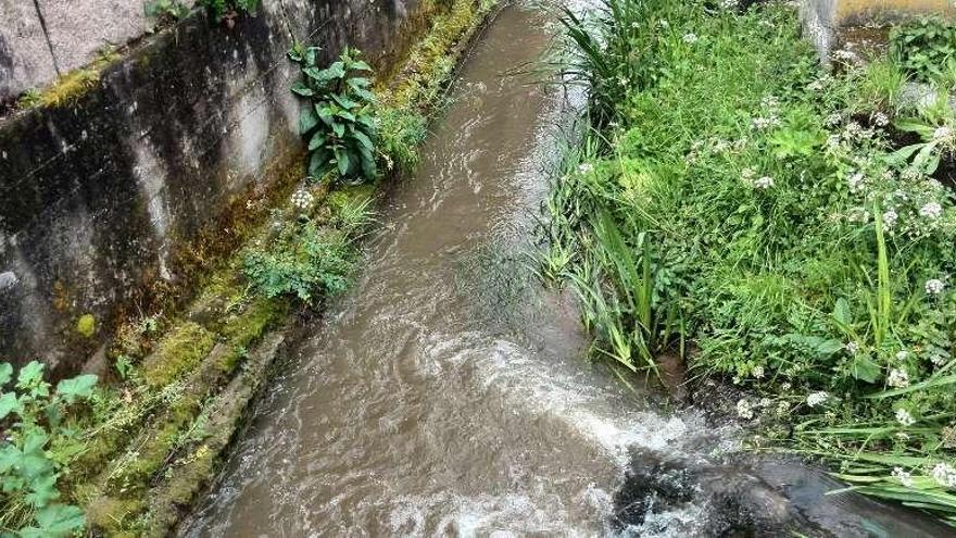 Aspecto del caudal del río Saiñas.  // Santos Álvarez