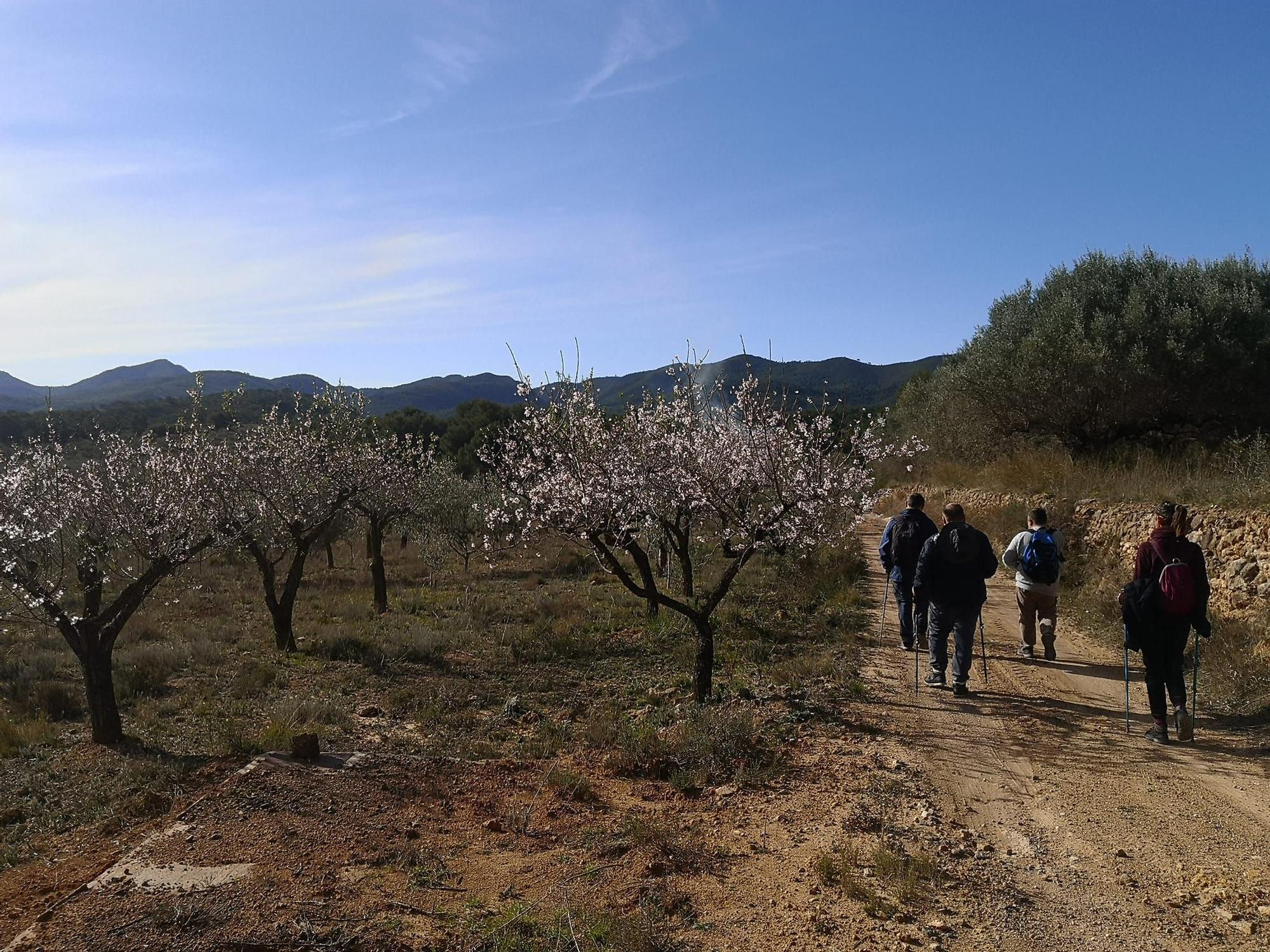 De Navajas a La Morruda de Segorbe