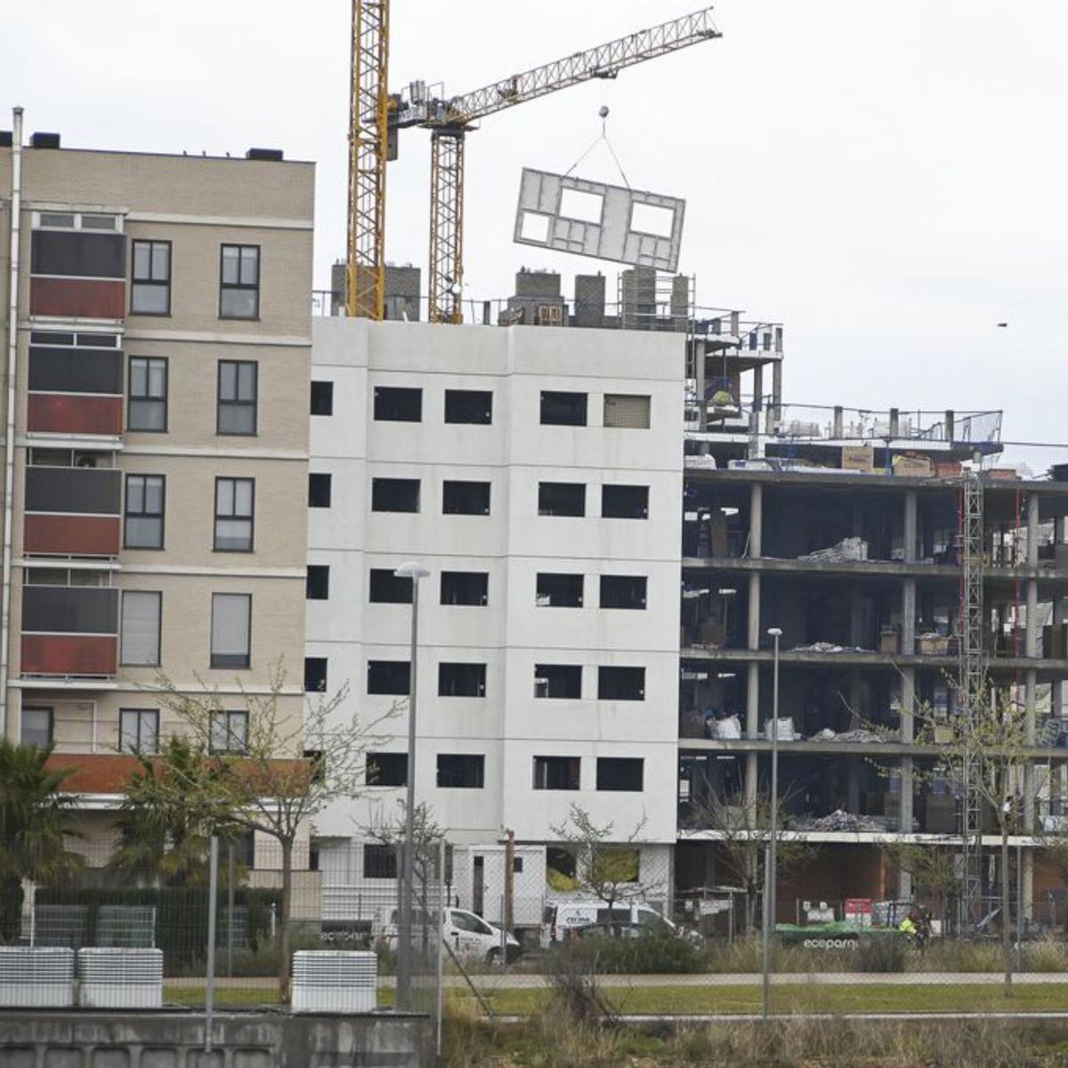 Habitatge protegit sense trampes