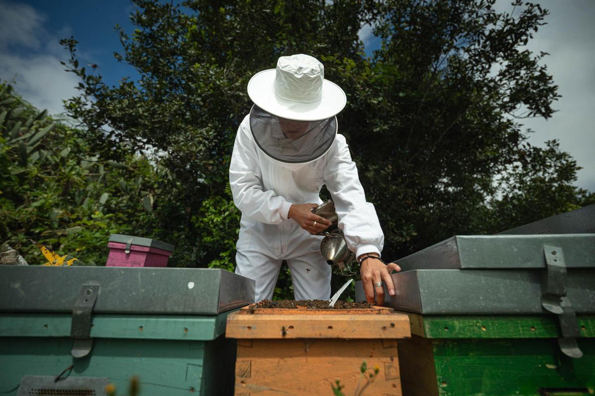 Natalia Díaz enseña su finca ecológica Ecoalpispa por el Día Mundial de las Abejas
