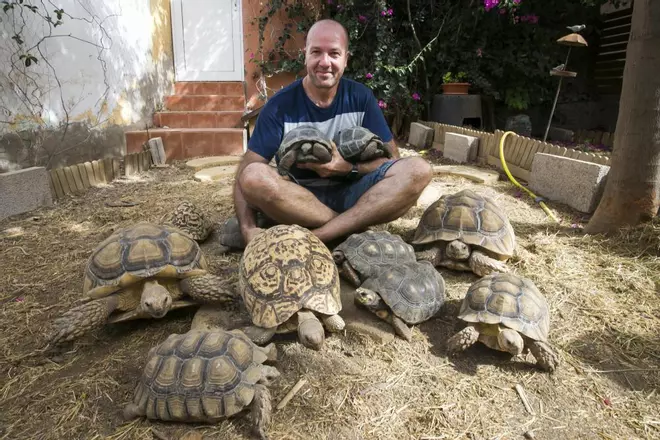Quelonios de andar por casa