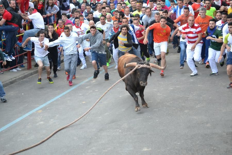 Enmaromado 2016: Lechugazo da la talla