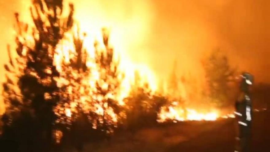 Más del 55% de los incendios de los últimos 15 años son intencionados