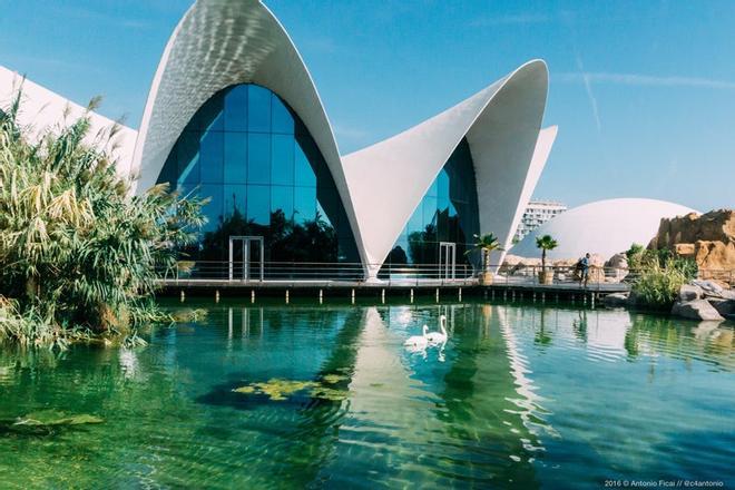 Oceanografic de Valencia