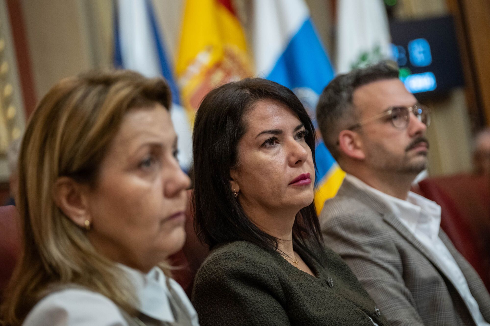 Pleno del Ayuntamiento de Santa Cruz