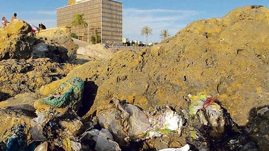 Imagen de residuos acumulados en la playa de Can Pere Antoni durante este verano y que los ecologistas denunciaron.