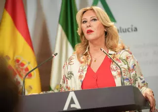 La Junta no ve privatización del sistema universitario andaluz «en ningún lado»