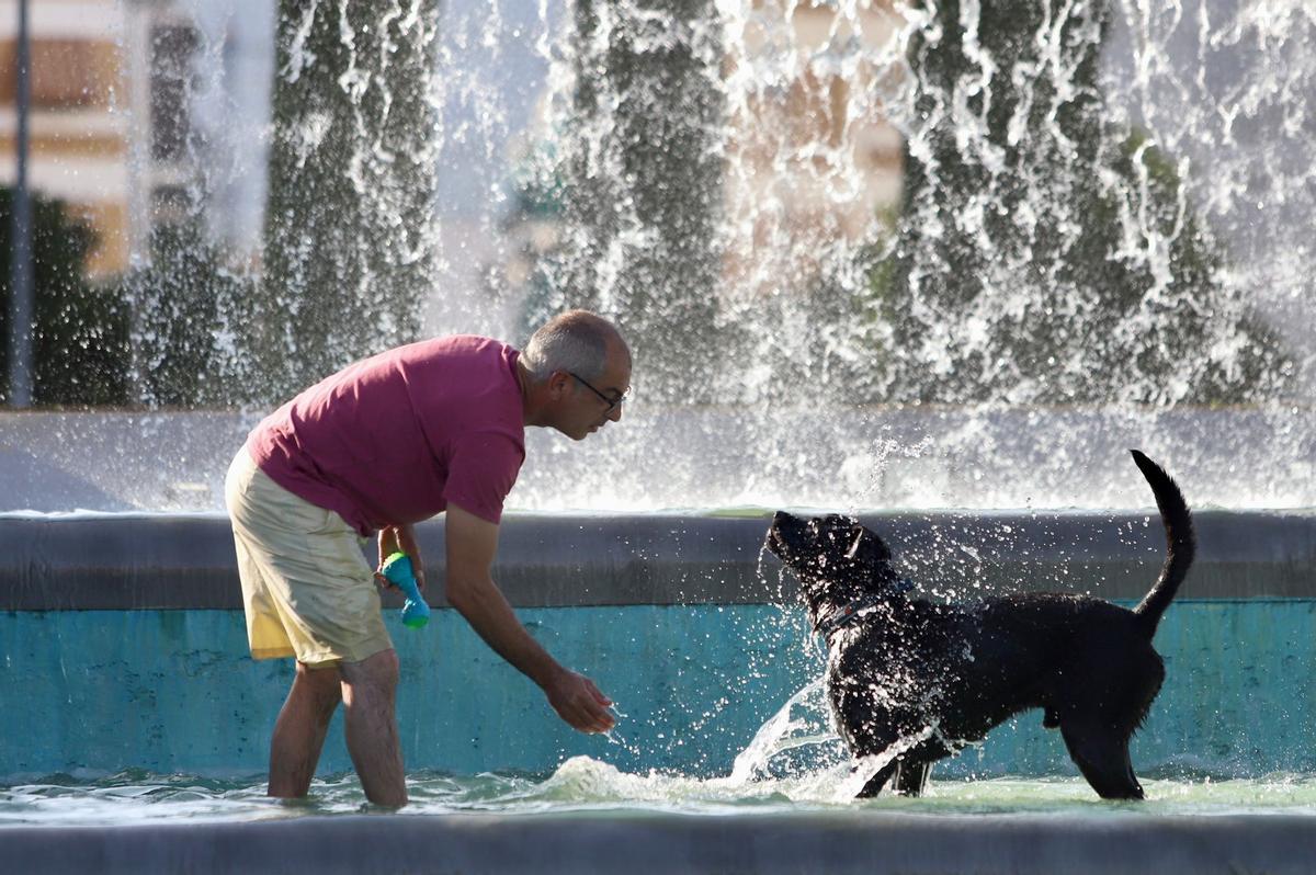 Un hombre refresca a su perro en una fuente del Vial Norte.