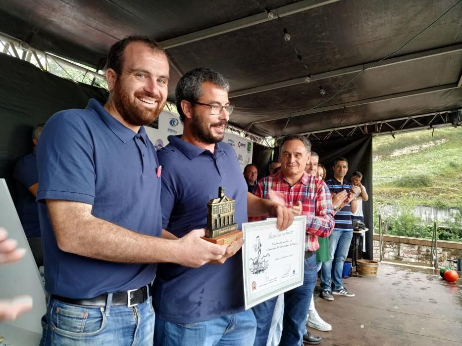 Concurso de sidra casera en Piloña