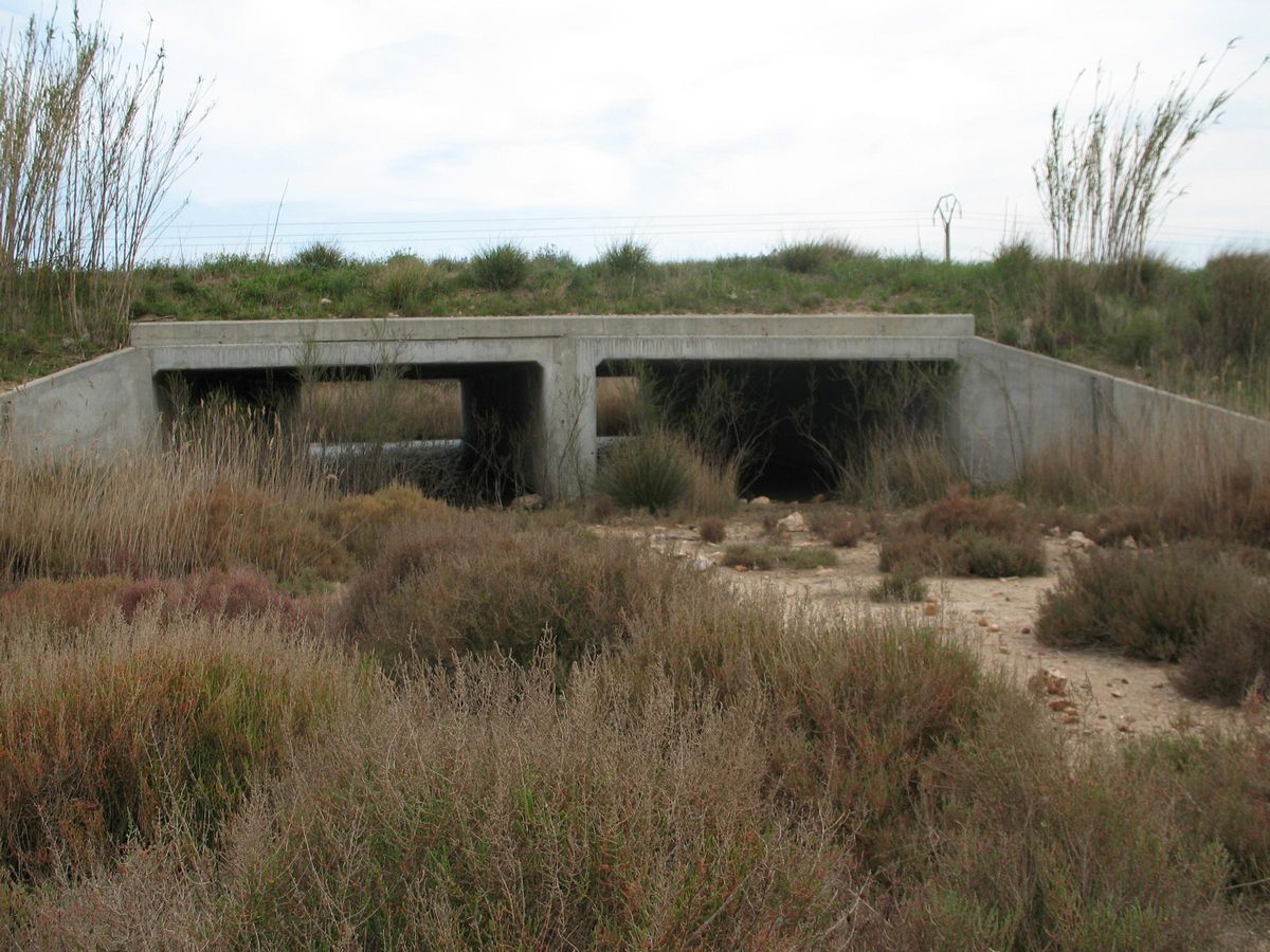 Primers passos inferiors específics per a la fauna construïts a Catalunya, al Parc Natural dels Aiguamolls de l’Empordà